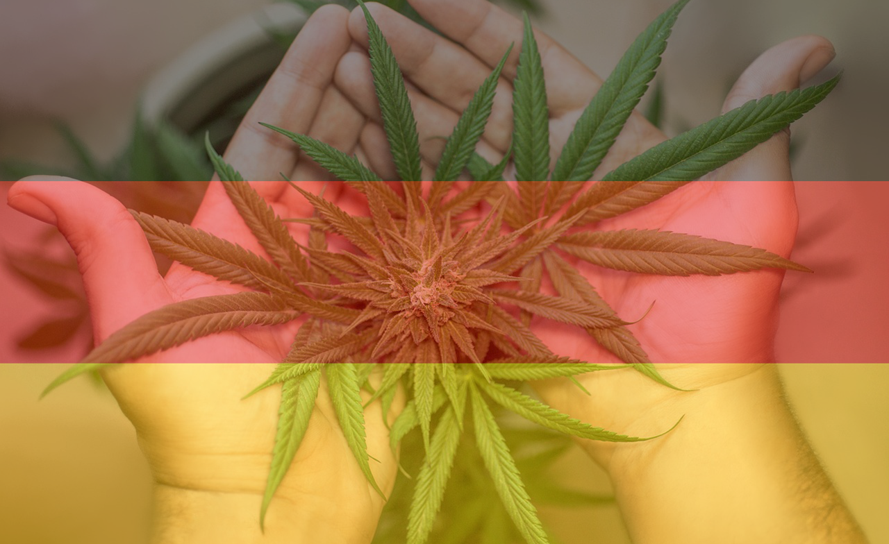 Ein Jahr Cannabis-Teillegalisierung in Deutschland: Entwicklungen, Statistiken und Ausblick