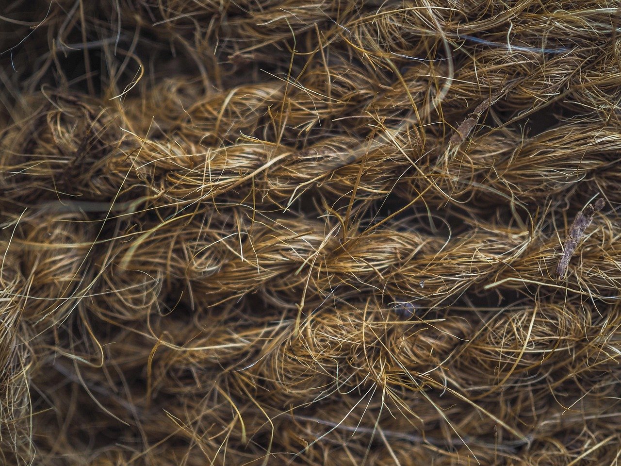 Hanf als Baustoff: Nachhaltigkeit, Vorteile und Anwendungsmöglichkeiten